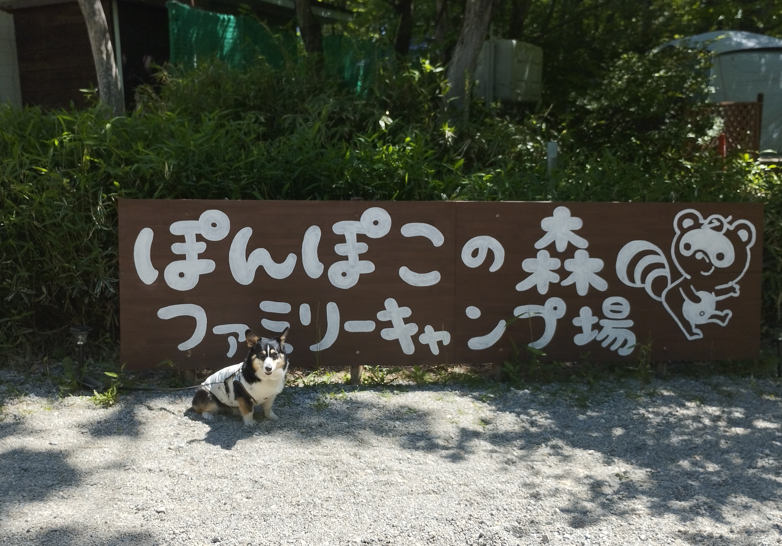キャンプ場