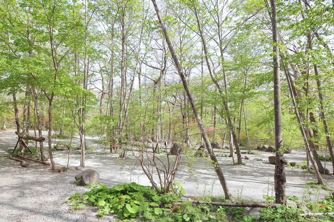 キャンプ場