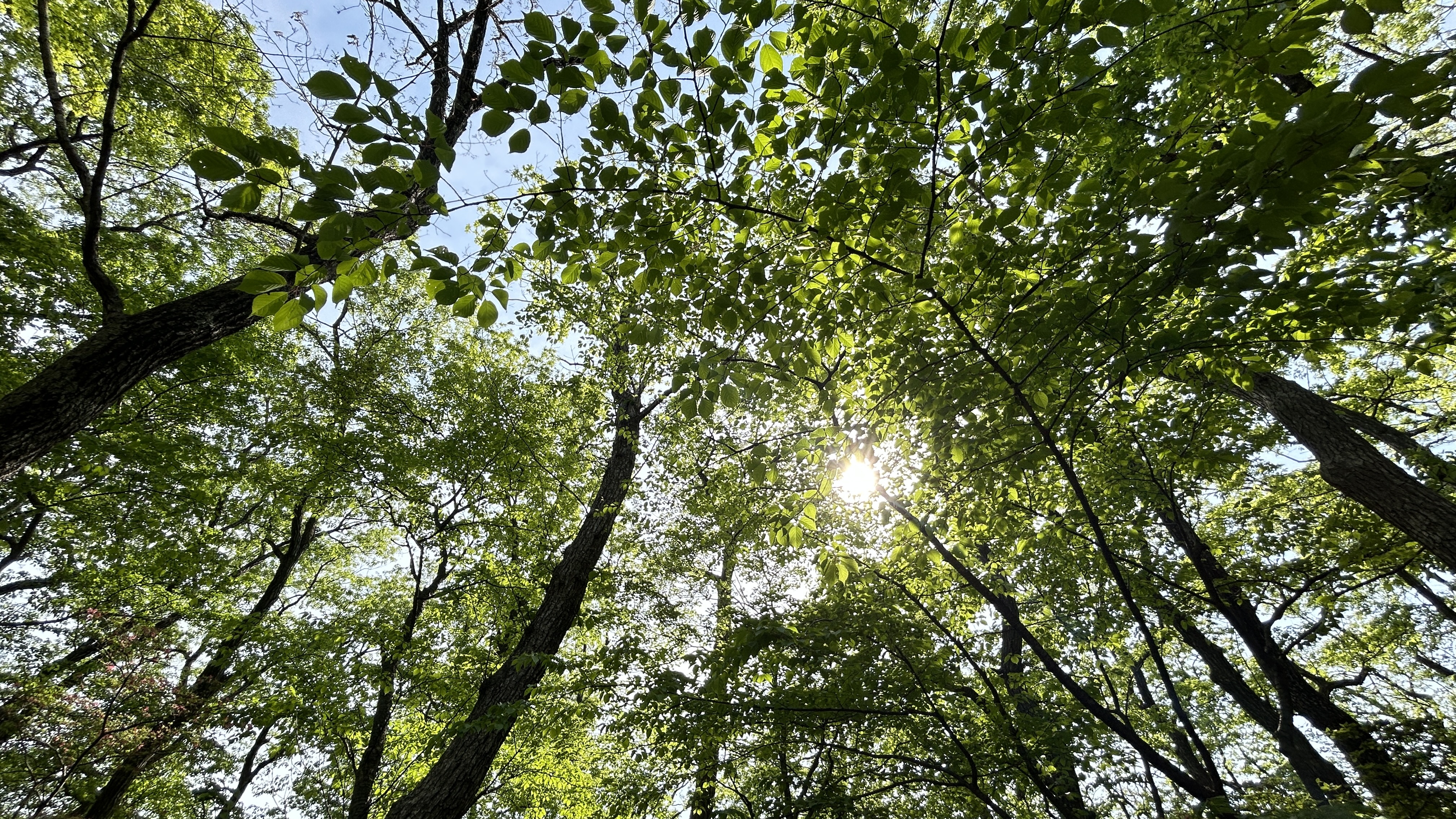 キャンプ場の環境